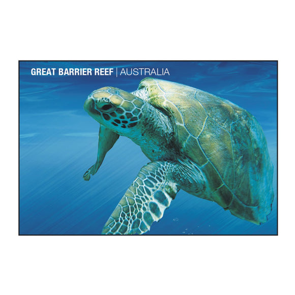 GALLERY MAGNET GREAT BARRIER REEF turtle