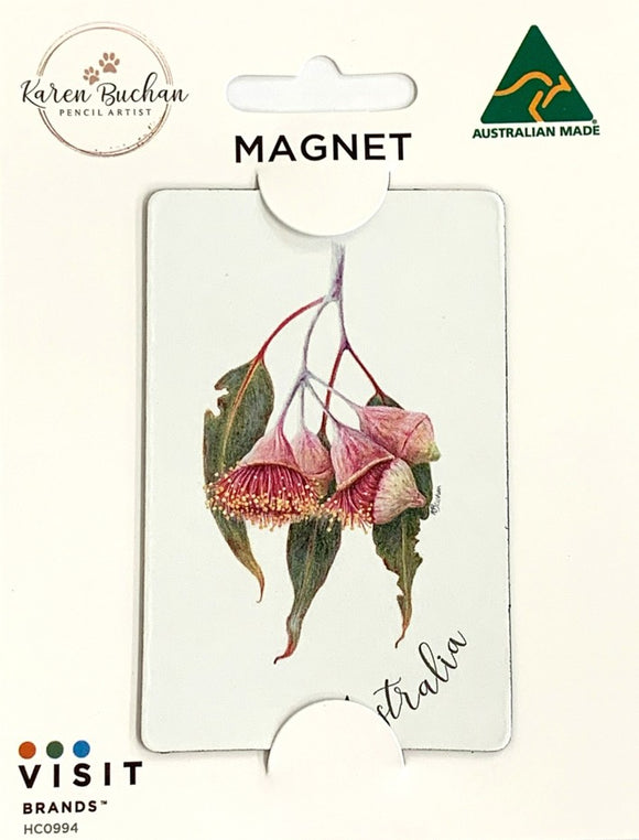 MAGNET FLEXI Eucalyptus Silver Princess 
KAREN BUCHAN