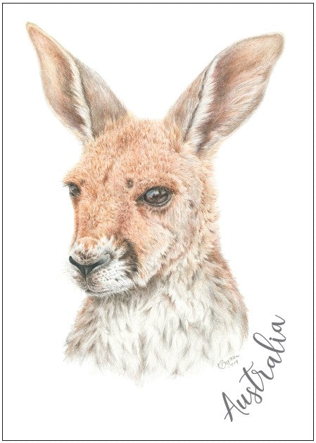 POSTCARD Kangaroo KAREN BUCHAN