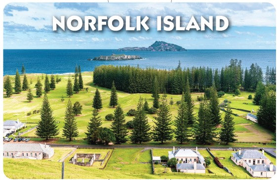 MAGNET FLEXI Norfolk Island Pine trees