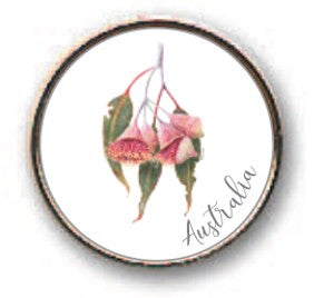 PIN 18MM Eucalyptus Silver Princess 
KAREN BUCHAN