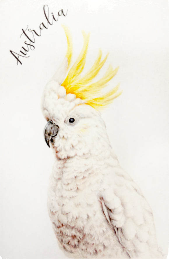 MAGNET FLEXI Cockatoo KAREN BUCHAN