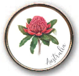 PIN 18MM Waratah 
KAREN BUCHAN