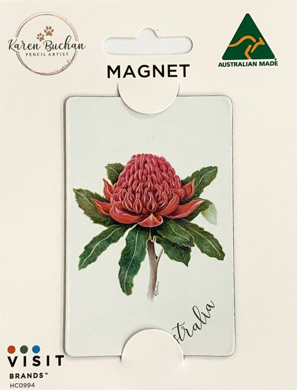 MAGNET FLEXI Waratah KAREN BUCHAN