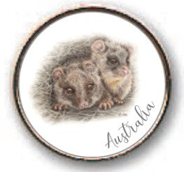 PIN 18MM Ringtail Possum KAREN BUCHAN