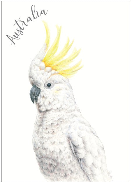 POSTCARD Cockatoo KAREN BUCHAN