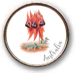 PIN 18MM Sturt's Pea KAREN BUCHAN