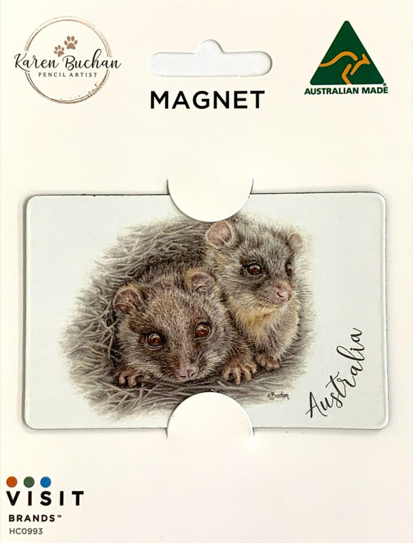 MAGNET FLEXI Ringtail Possum 
KAREN BUCHAN
