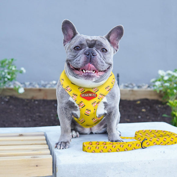 DOG LEASH VEGEMITE SIZE M 2.0*152CM