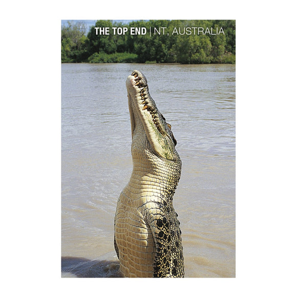 GALLERY MAGNET TOP END upright crocodile