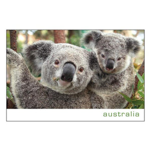GALLERY MAGNET AUSTRALIA 2 koalas