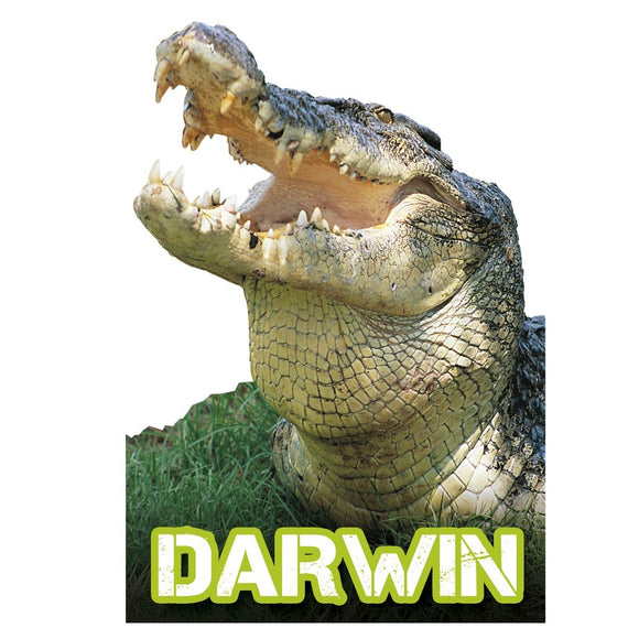 MAGNET SHAPED DARWIN crocodile