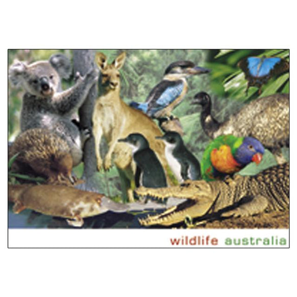 POSTCARD AUST WILDLIFE MONTAGE WITH NFR