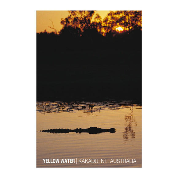 GALLERY MAGNET YELLOW WATER crocodile NFR